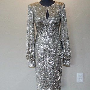 Sequin Bishop Sleeve Dress